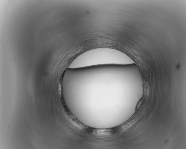 X0000095130622200712071009