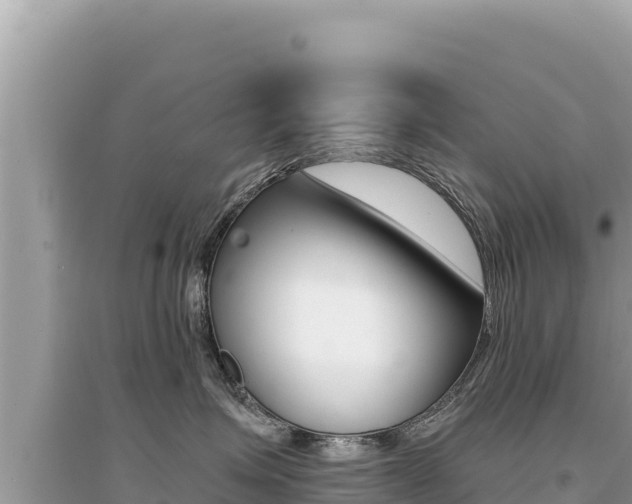 X0000095130623200712071009