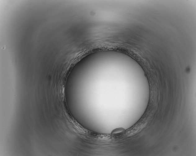 X0000095130624200712071009