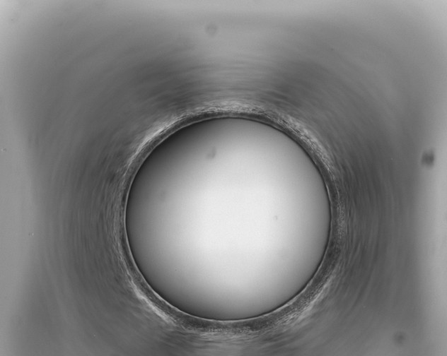 X0000095130625200712071009