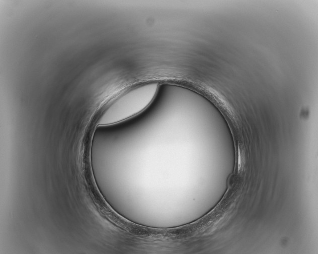 X0000095130627200712071009