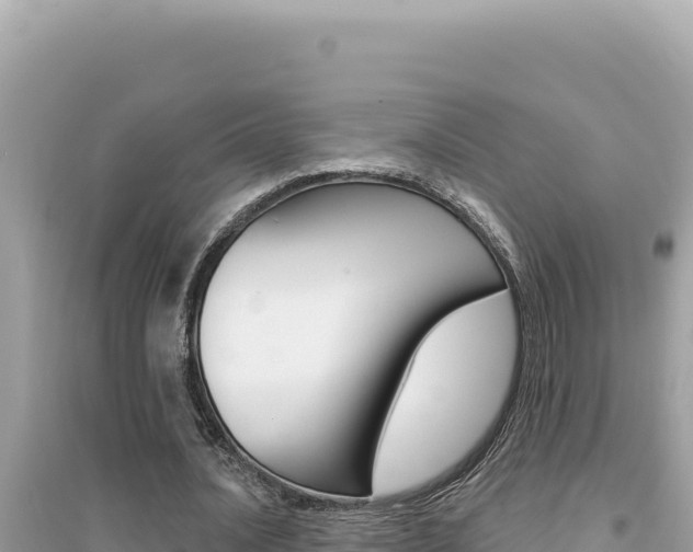 X0000095130628200712071009