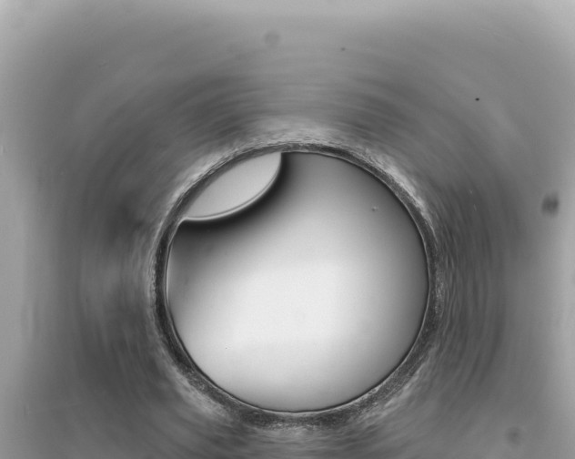 X0000095130629200712071009