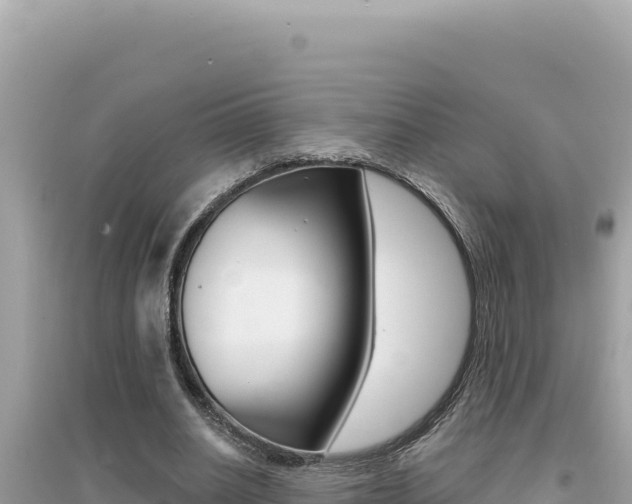 X0000095130630200712071009
