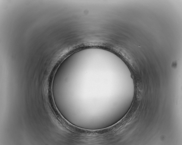 X0000095130631200712071009
