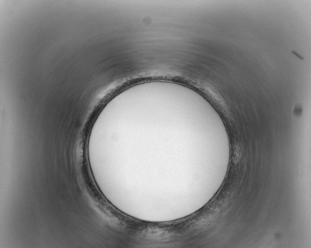 X0000095130632200712071009