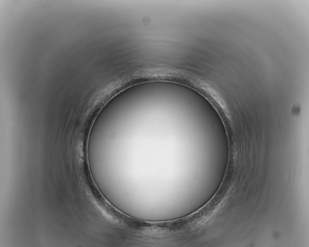 X0000095130633200712071009