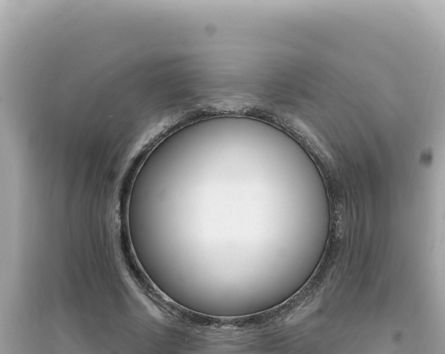 X0000095130634200712071009