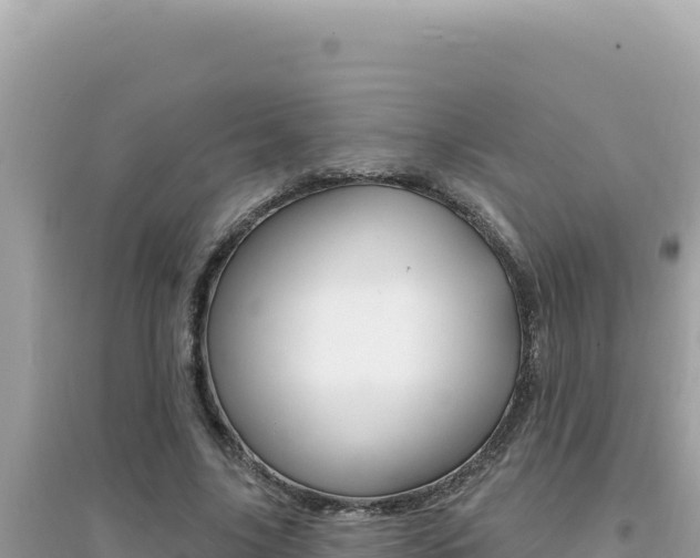 X0000095130635200712071009
