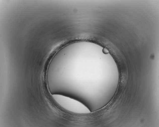 X0000095130636200712071009