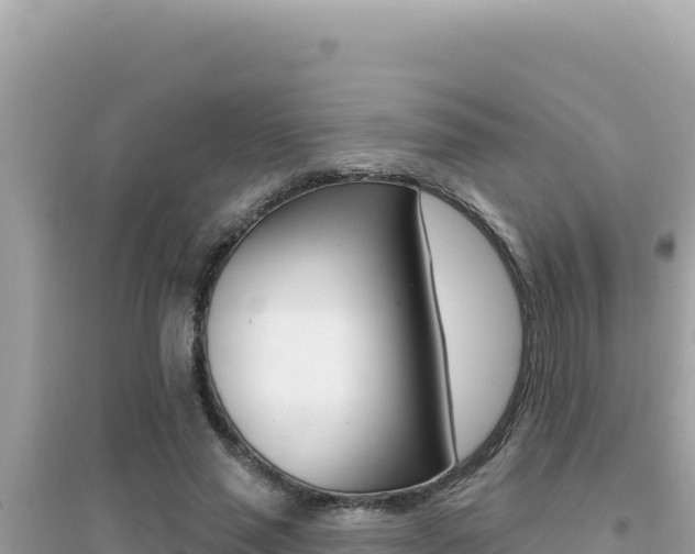 X0000095130637200712071009