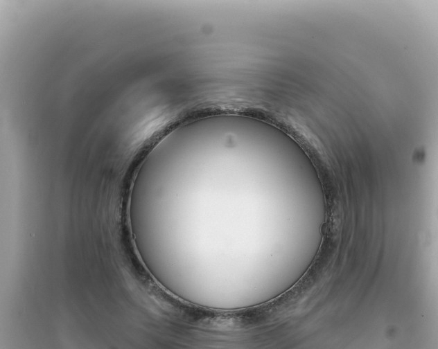 X0000095130639200712071009