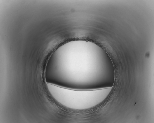 X0000095130640200712071009
