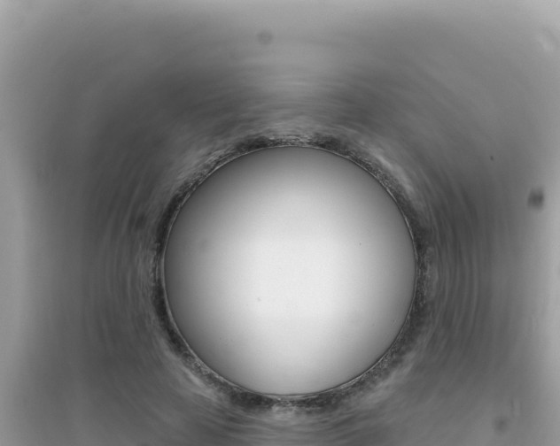 X0000095130641200712071009