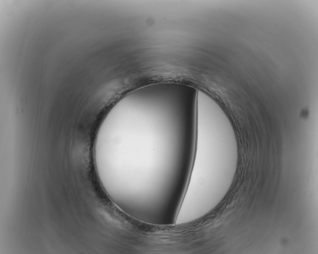 X0000095130642200712071009