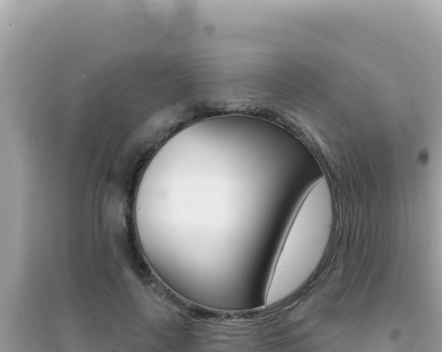 X0000095130643200712071009