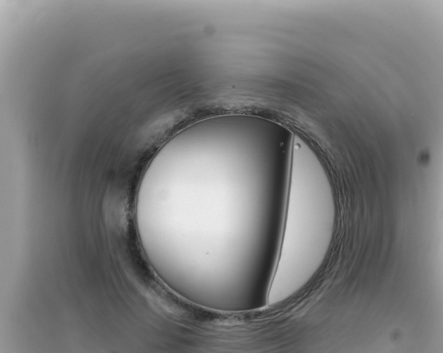 X0000095130644200712071009