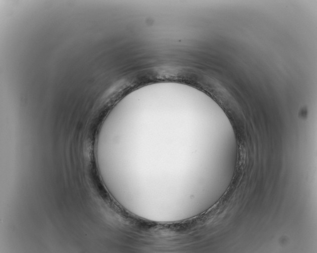 X0000095130648200712071009