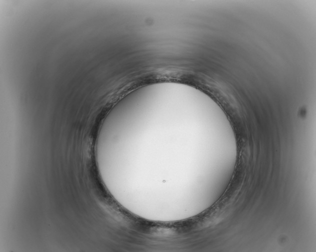 X0000095130649200712071009