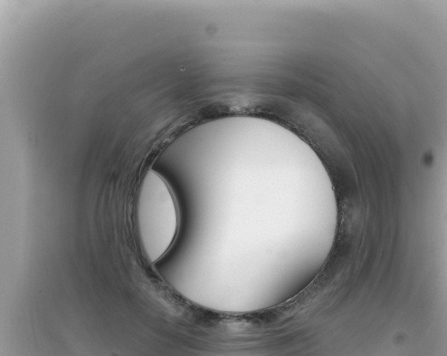 X0000095130650200712071009