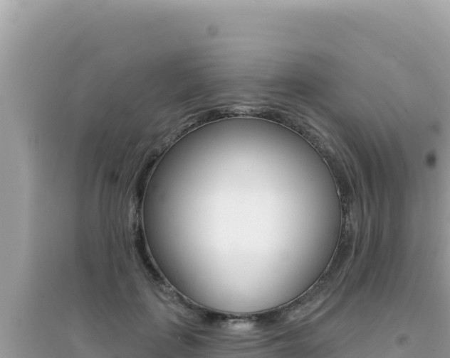 X0000095130651200712071009