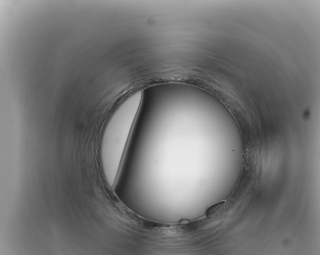 X0000095130652200712071009