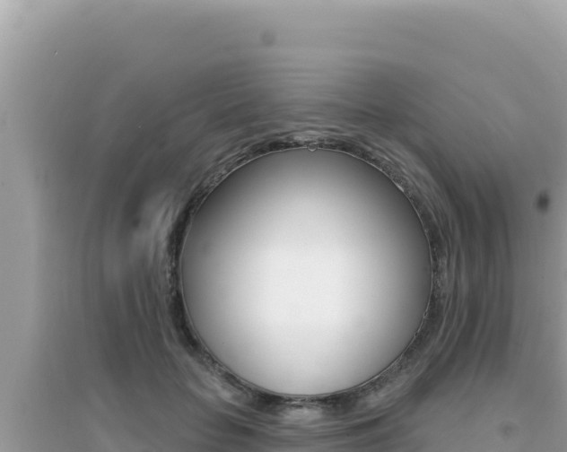 X0000095130653200712071009