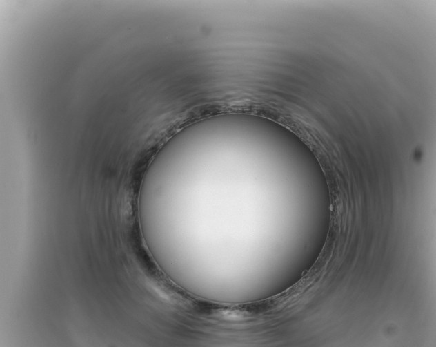 X0000095130654200712071009