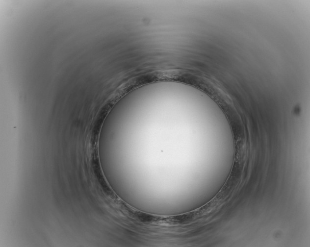 X0000095130655200712071009