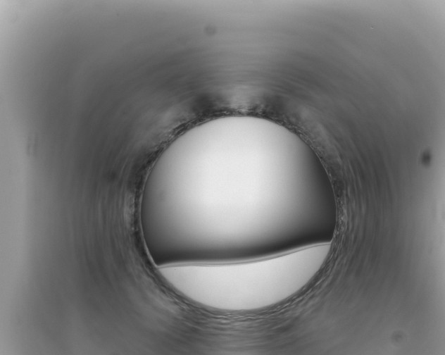 X0000095130656200712071009