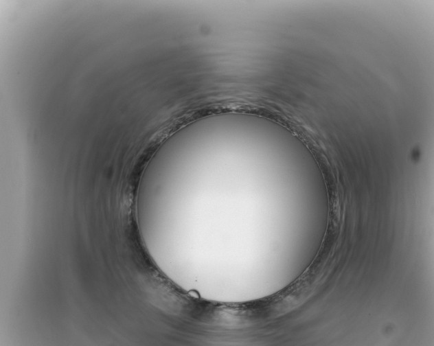 X0000095130657200712071009