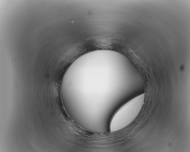 X0000095130658200712071009