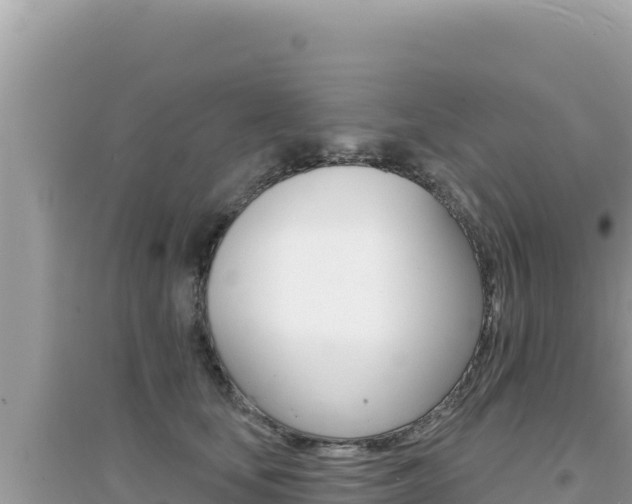 X0000095130659200712071009