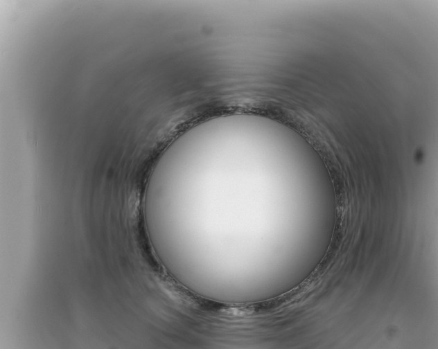X0000095130660200712071009