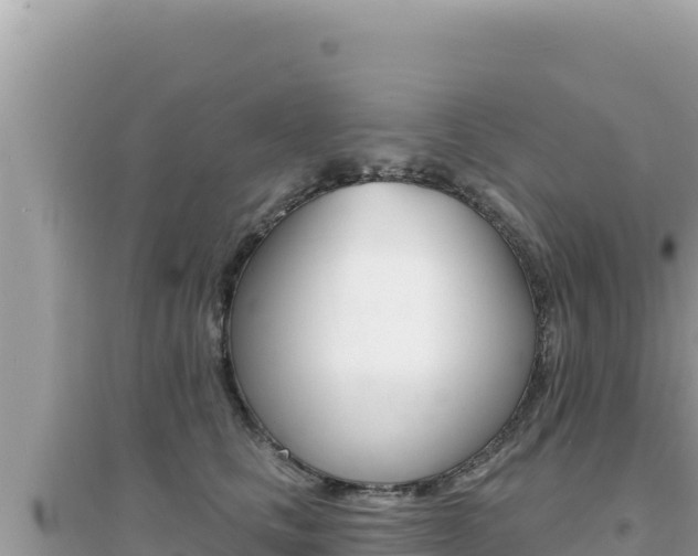 X0000095130661200712071009