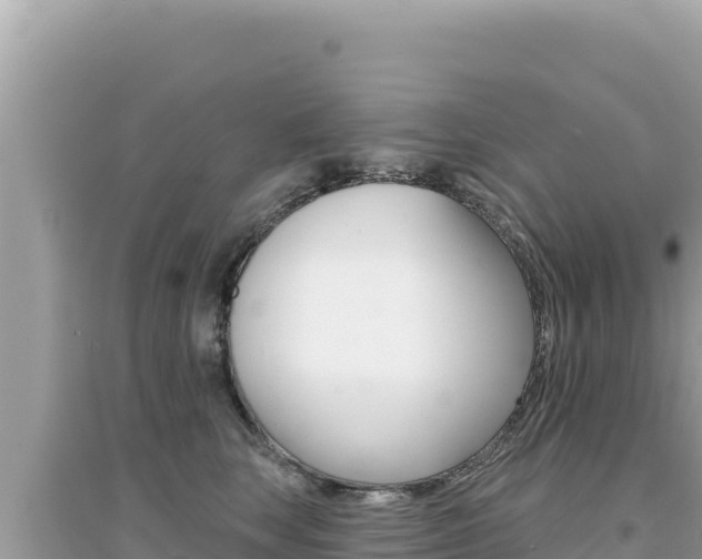X0000095130663200712071009