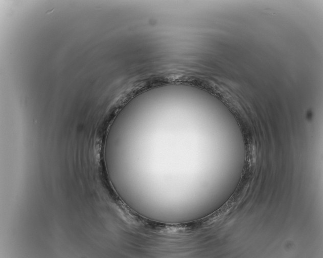 X0000095130664200712071009