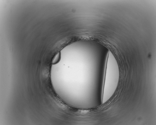 X0000095130665200712071009