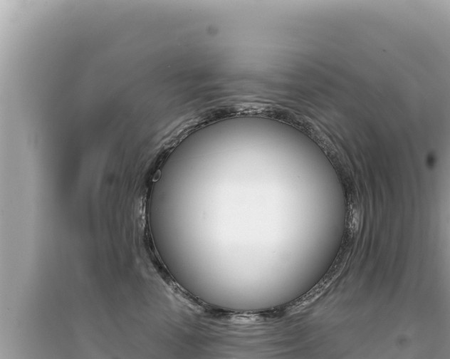 X0000095130666200712071009