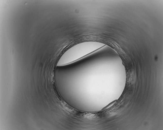 X0000095130669200712071009