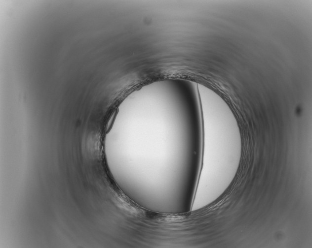 X0000095130670200712071009