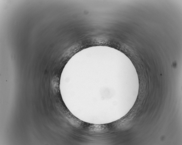 X0000095130672200712071009