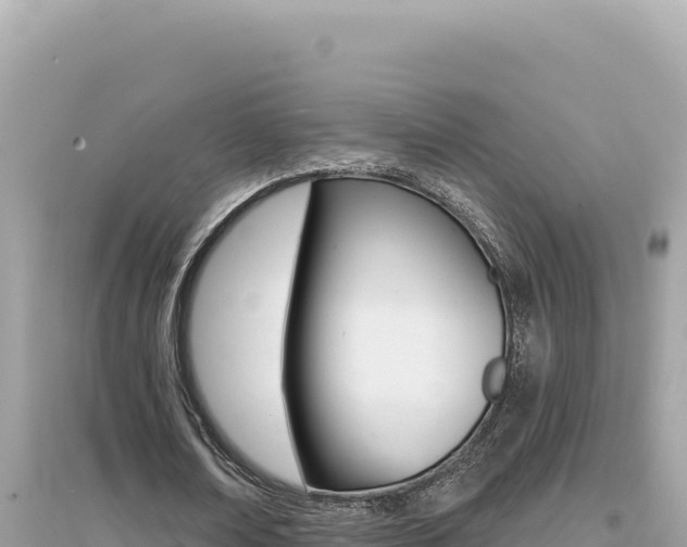 X0000095130674200712071009