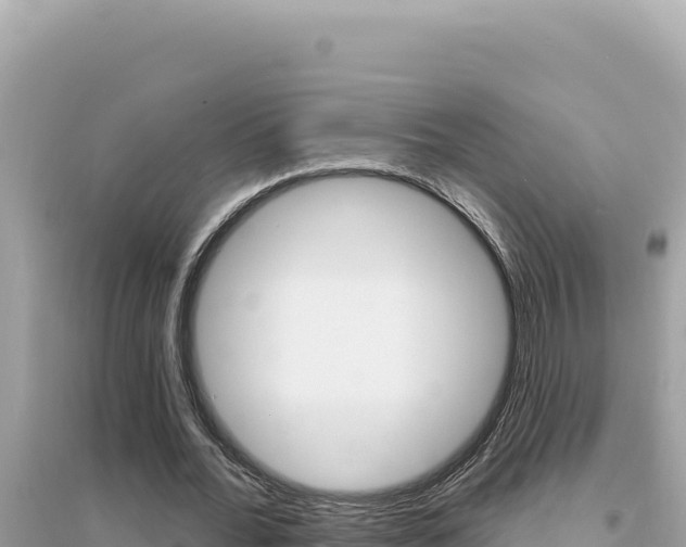 X0000095130676200712071009