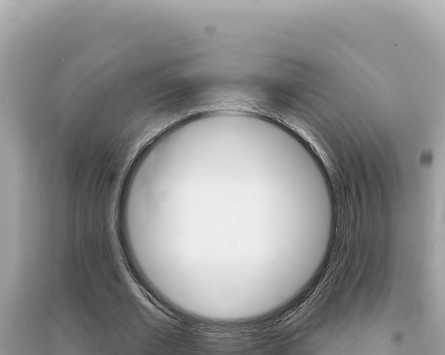 X0000095130677200712071009