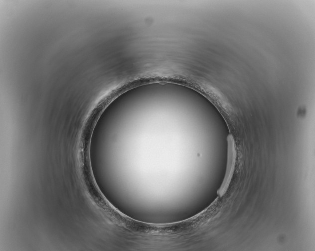 X0000095130680200712071008