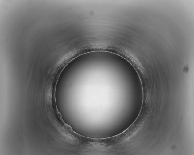 X0000095130681200712071008