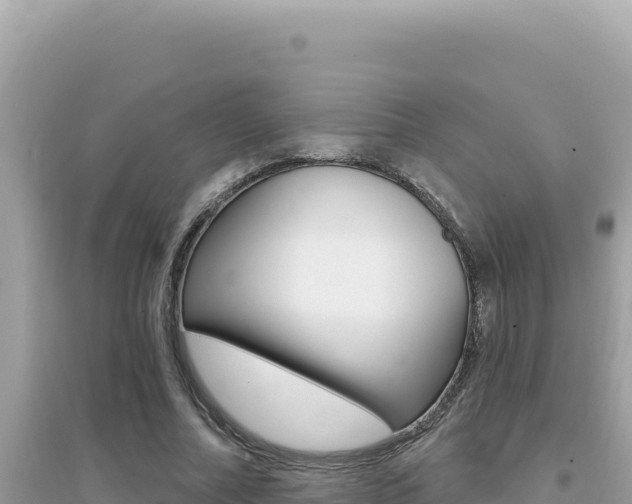 X0000095130682200712071008