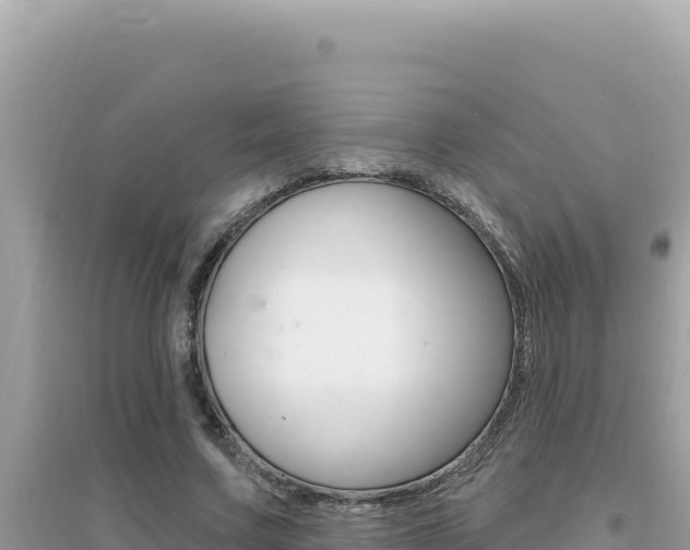X0000095130683200712071008