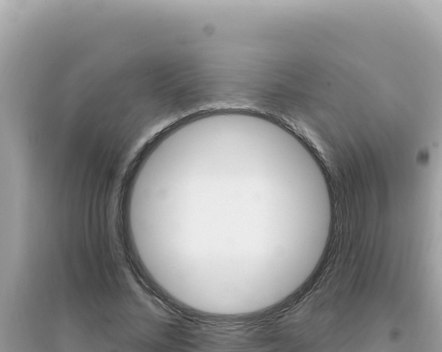 X0000095130684200712071008